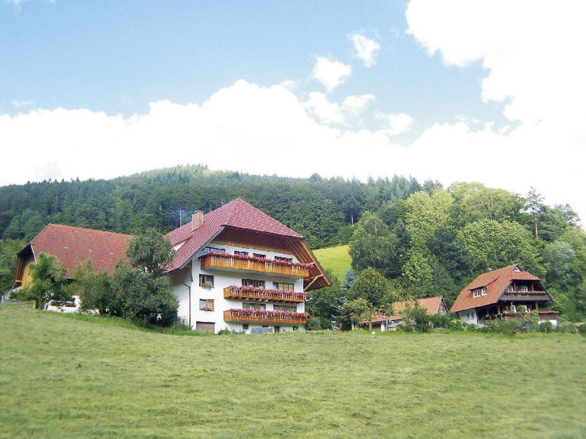 Geigerbauernhof Apartment Muehlenbach Exterior photo